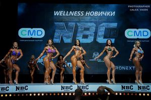 WELLNESS НОВИЧКИ